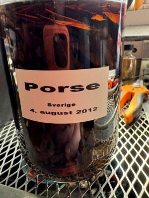 PORSE 2012 (ekstrakt - trækker stadigvæk på bladene fra 2012)