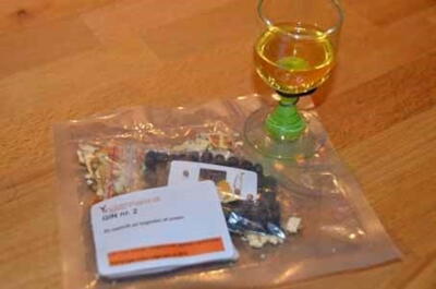 GIN nr. 2 (udløb ultimo 2023)
